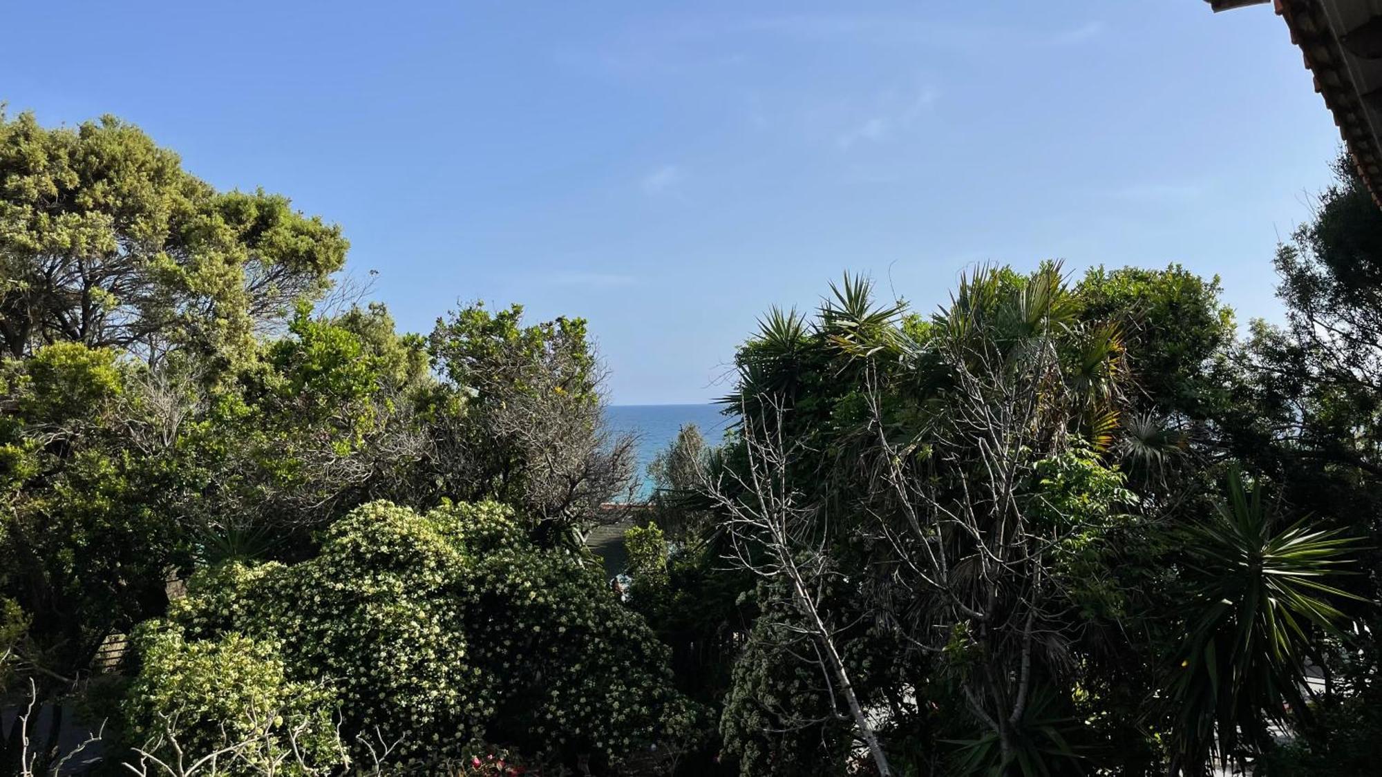 Alonaki Bay Daire Halikounas Dış mekan fotoğraf