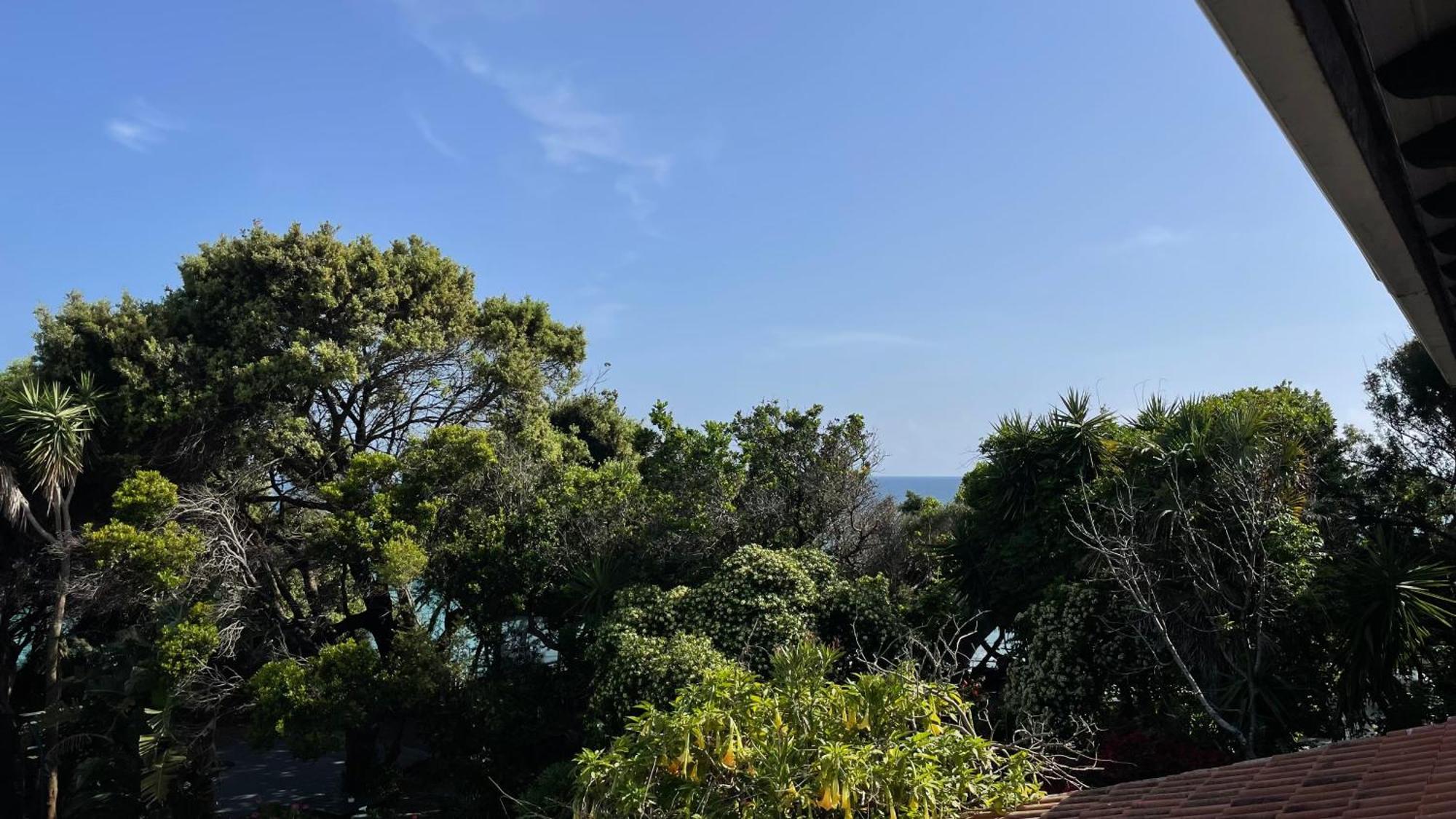 Alonaki Bay Daire Halikounas Dış mekan fotoğraf