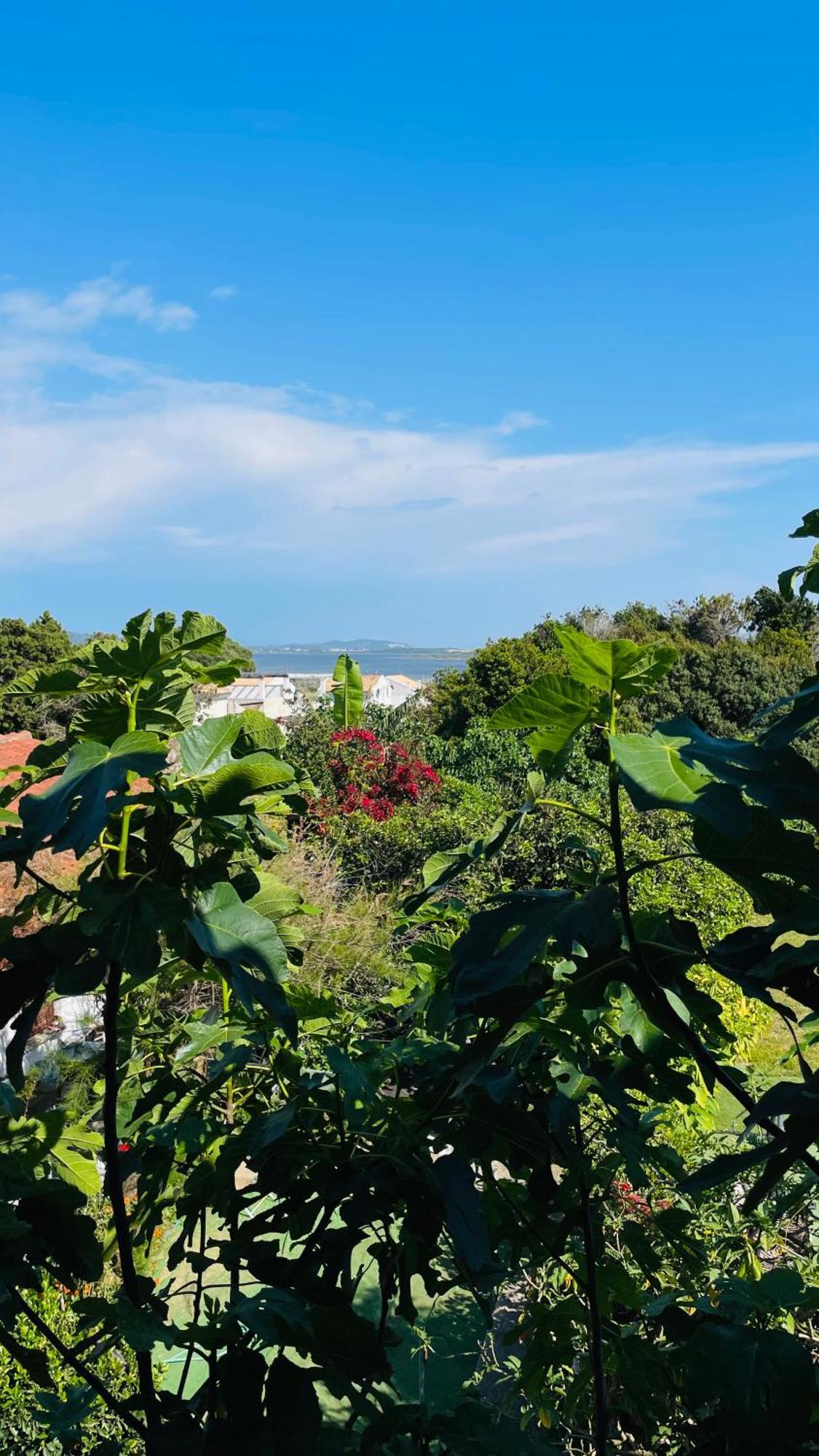 Alonaki Bay Daire Halikounas Dış mekan fotoğraf